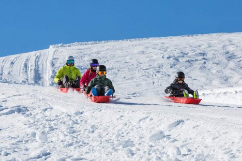 luge