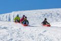 luge