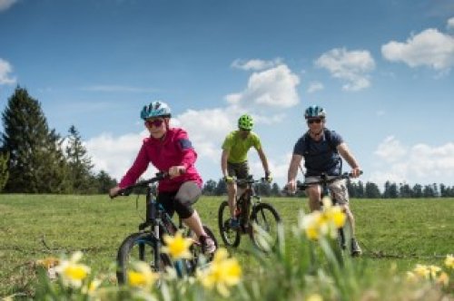 vtt